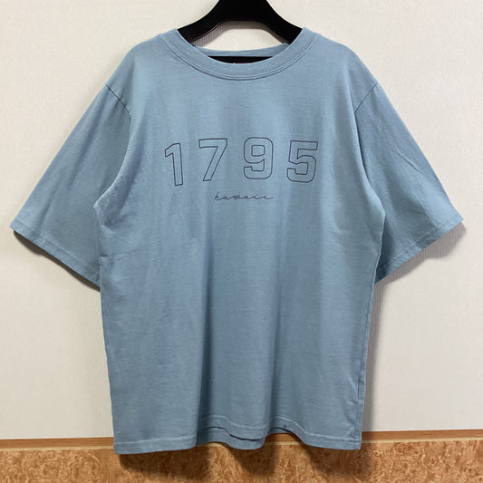 E.m.m.M 1795 Hawaii Tシャツ(サックス)